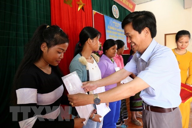 Новыи указ изменит условия выдачи вьетнамского гражданства hinh anh 1