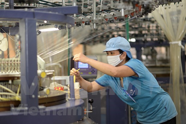 2020 год – год прорыва для швеино-текстильная промышленности Вьетнама hinh anh 1