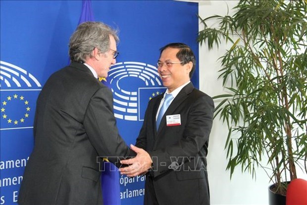 ЕП поддерживает развитие всестороннего сотрудничества между ЕС и Вьетнамом hinh anh 1