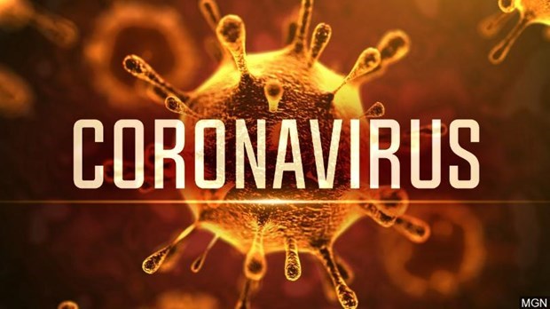 ВОЗ дала официальное название новому коронавирусу hinh anh 1