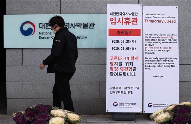 Число зараженных коронавирусом в Южнои Корее достигло 1595 человек hinh anh 1