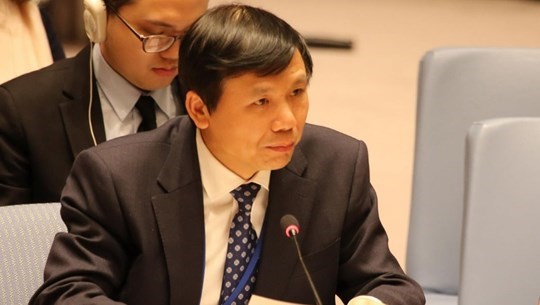 Вьетнам подтверждает поддержку договора о нераспространении ядерного оружия hinh anh 1