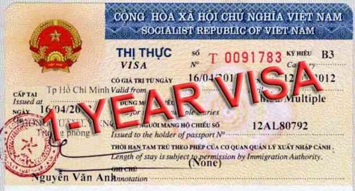 Визовая политика Вьетнама серьезно изменится hinh anh 1