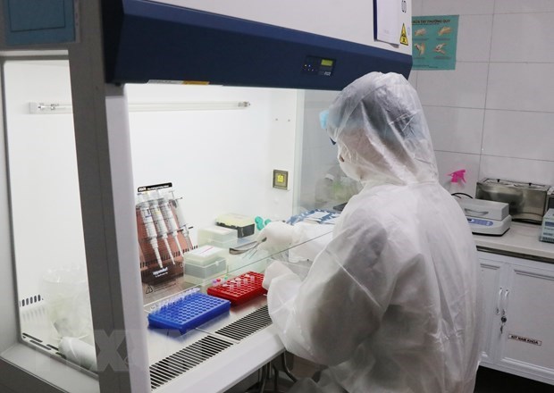 Вьетнам успешно производит тест-системы на SARS-CoV-2 hinh anh 1