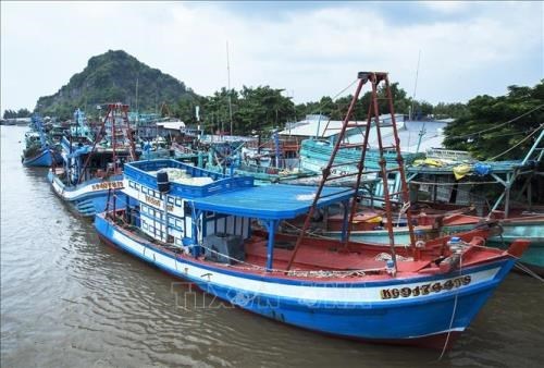 Кьенжанг работает над предотвращением незаконного рыболовства hinh anh 1