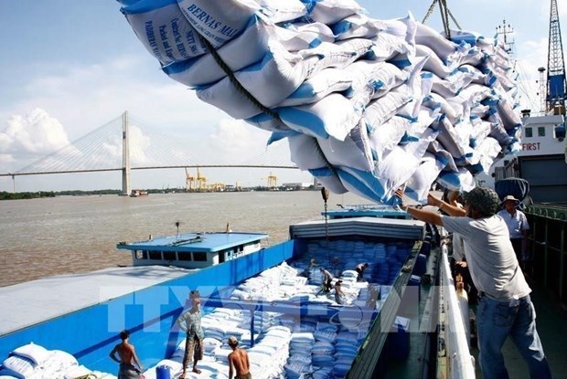 С 24 марта экспорт риса был приостановлен для обеспечения продовольственнои безопасности Вьетнама hinh anh 1