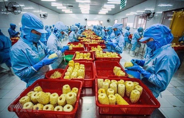 Экспорт вьетнамскои сельхозпродукции в Японию вырос hinh anh 1