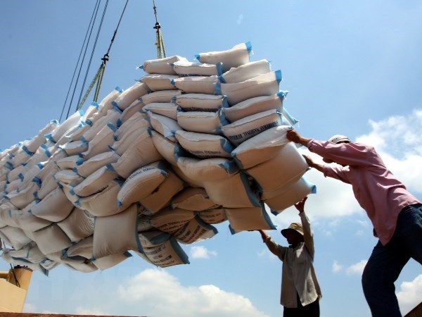 Премьер-министр одобрил возобновление экспорта риса при условии обеспечения продовольственнои безопасности hinh anh 1