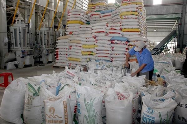 Завершена таможенная очистка ,более 4.000 тонн риса для экспорта hinh anh 1