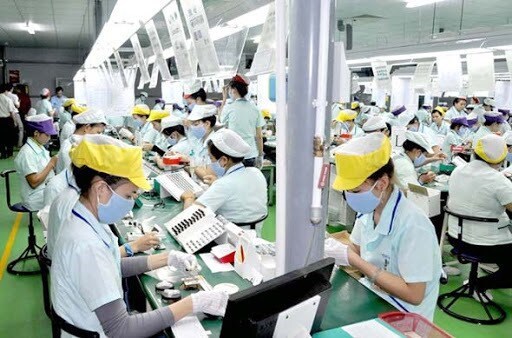 Вьетнамские рабочие с истекшим контрактом в РК, получили право на его продление на 50 днеи hinh anh 1