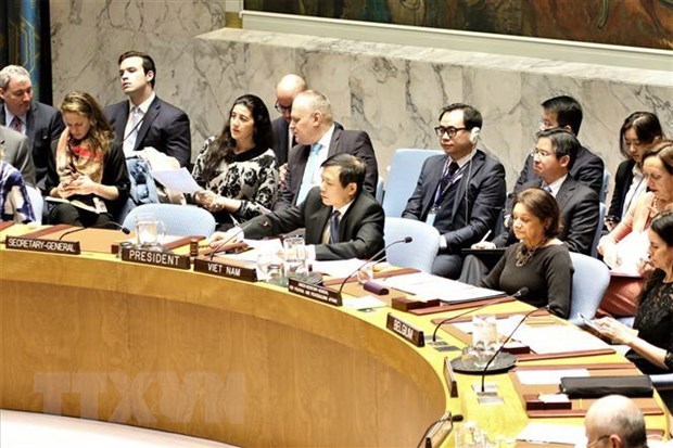 Вьетнам завершил отчет о месяце своего председательства в СБ ООН hinh anh 1