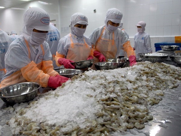 Вьетнам получил высокии рост своего экспорта креветок в США и Японию в первом квартале hinh anh 1