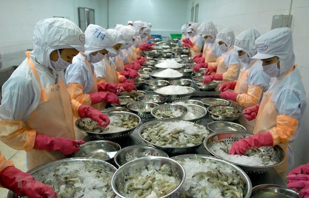 Прогноз: экспорт вьетнамских креветок достигнет 3,8 млрд. долл. США в 2020 hinh anh 1
