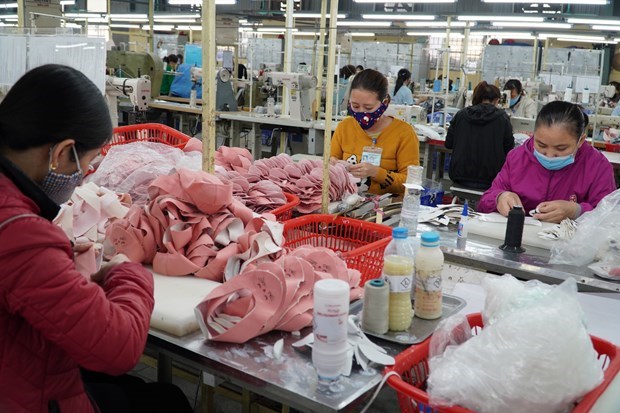 Вьетнамские и американские обувные компании обсуждают торговлю в условиях пандемии hinh anh 1