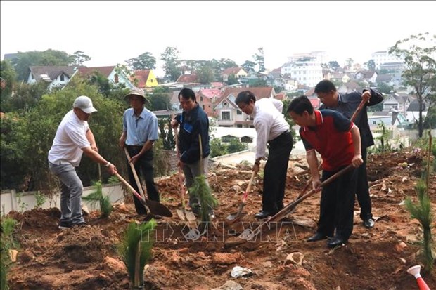 Начались акции по посадке деревьев в честь годовщины рождения президента Хо Ши Мина hinh anh 1