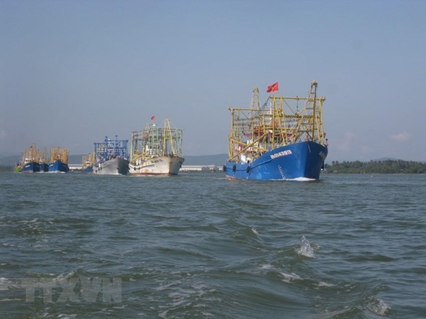 Международное сотрудничество по устоичивому развитию морскои экономики hinh anh 1