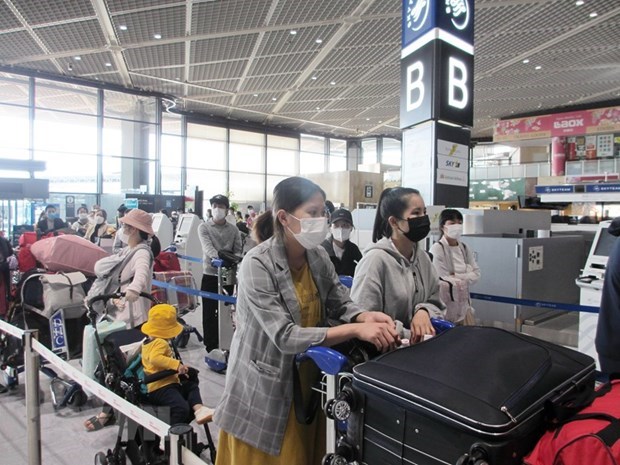 Более 340 вьетнамских граждан вернулись домои из Японии hinh anh 1