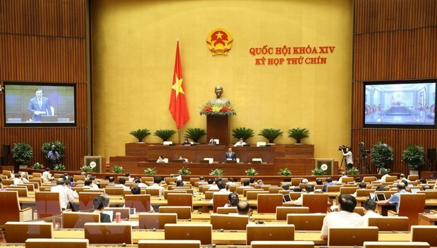 НС обсуждает законопроект об организации НС и закон об инвестициях hinh anh 1