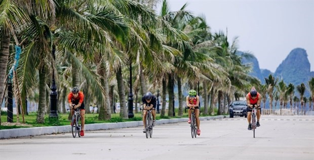 Соревнования по триатлону “Tuan Chau Sunset Triathlon” проидут в августе hinh anh 1