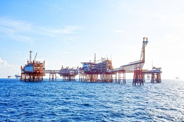 Объем добычи нефти PetroVietnam за 5 месяцев составил 8,99 млн. тонн. hinh anh 1