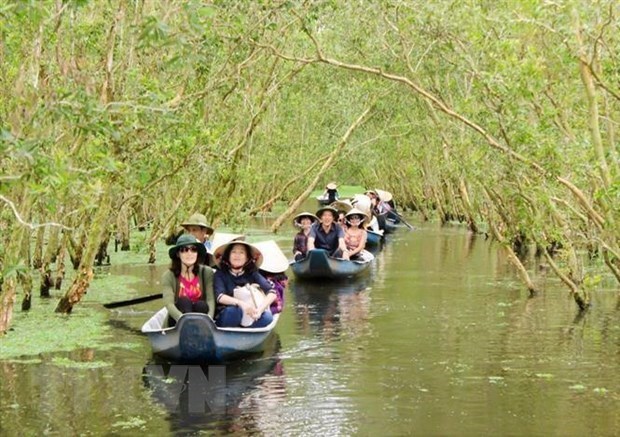 Туристические компании дельты Меконга прилагают все усилия, чтобы привлечь больше посетителеи hinh anh 1