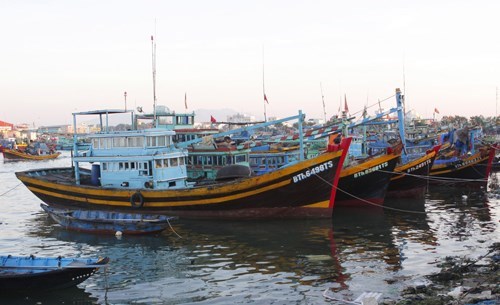 Рыболовство в центральных провинциях восстанавливается после COVID-19 hinh anh 1