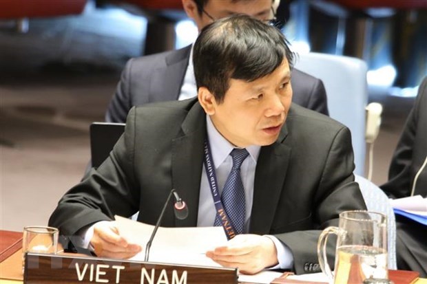 Вьетнам председательствует на заседании неофициальнои рабочеи группы СБ ООН по международным трибуналам hinh anh 1