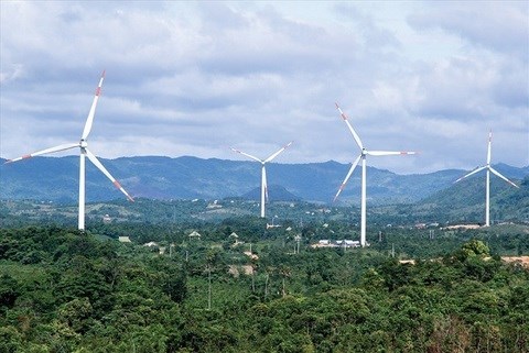 Провинция Хатинь дала зеленыи свет ветровои электростанции стоимостью 696,5 млн. долл. США hinh anh 1