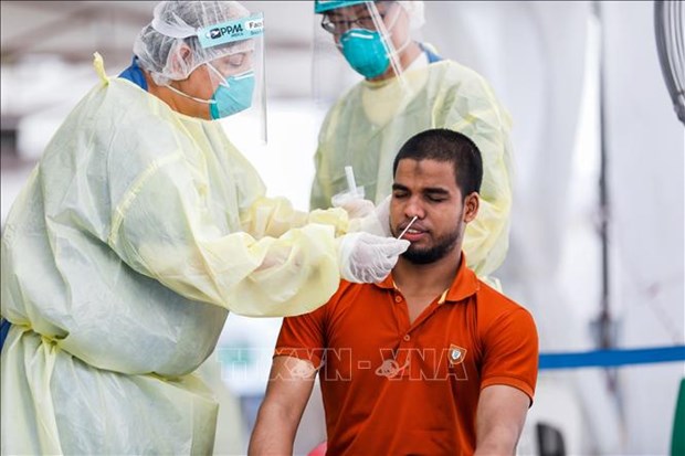 Сингапур приступит к клиническим испытаниям лекарства от коронавируса hinh anh 1