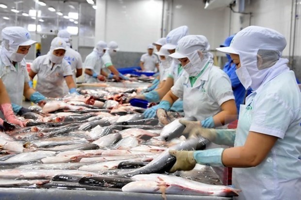Экспорт морепродуктов упал на 6% за 5 месяцев hinh anh 1