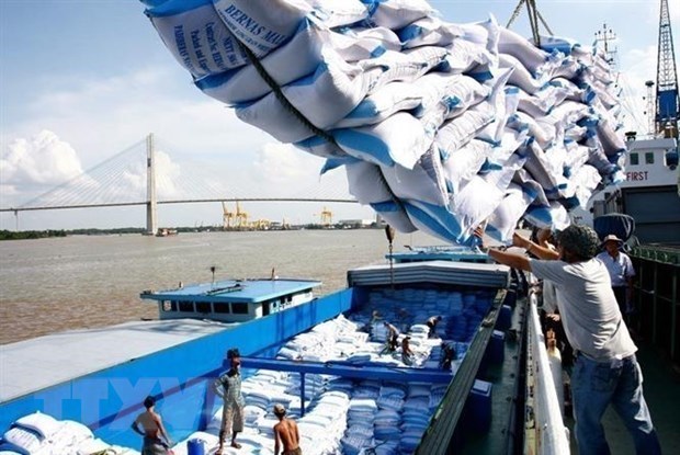 Вьетнам выиграл тендер на поставку 60.000 тонн риса на Филиппины hinh anh 1