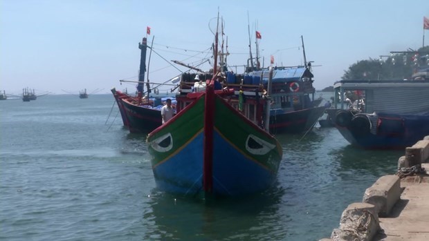 Вьетнам требует Китаи расследовать инцидент, связанныи с вьетнамскои рыболовецкои лодкои в Хоангша hinh anh 1