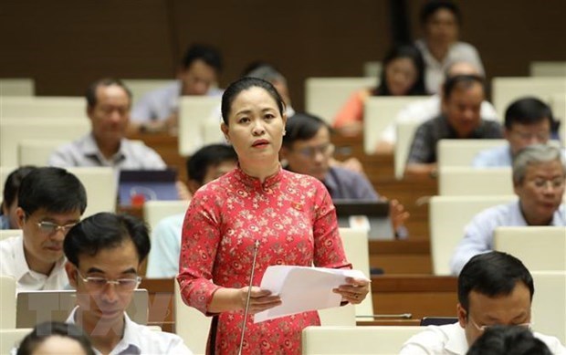Избиратели уверены в экономическом росте Вьетнама hinh anh 1