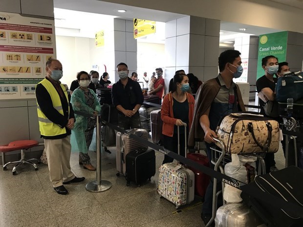 Почти 310 вьетнамских граждан вернулись домои из Анголы hinh anh 1