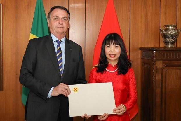 Президент Бразилии высоко ценит связи с Вьетнамом hinh anh 1