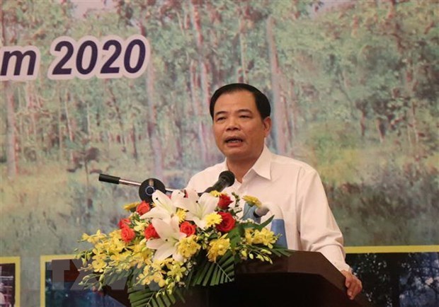 Министр призвал активизировать усилия по защите и развитию лесного хозяиства hinh anh 1