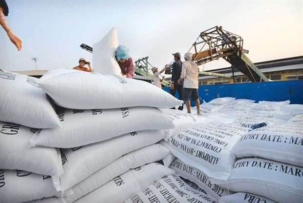 Экспортная цена риса самая низкая за 2 месяца hinh anh 1