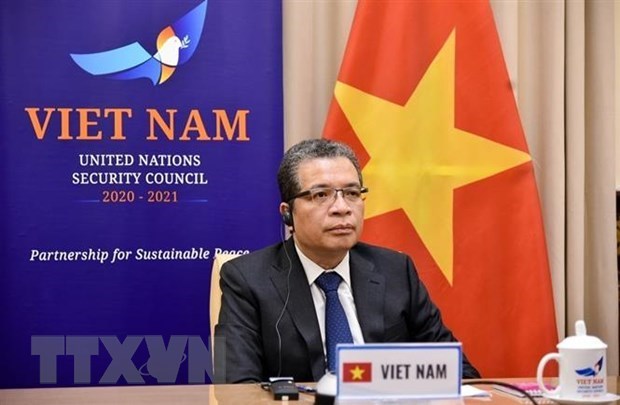 Заместитель министра иностранных дел: Вьетнам поддерживает борьбу палестинцев за справедливость hinh anh 1