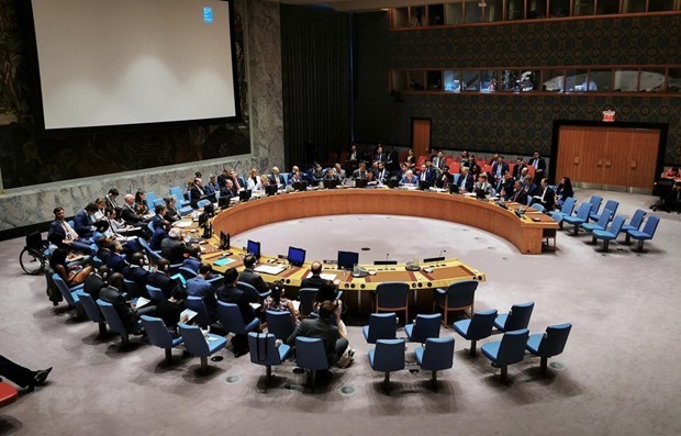 Совет Безопасности ООН принял сформулированную Вьетнамом резолюцию hinh anh 1