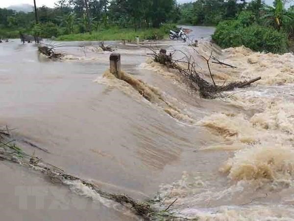 Заместитель премьер-министра призывает местности и министерства готовиться к наводнениям hinh anh 1