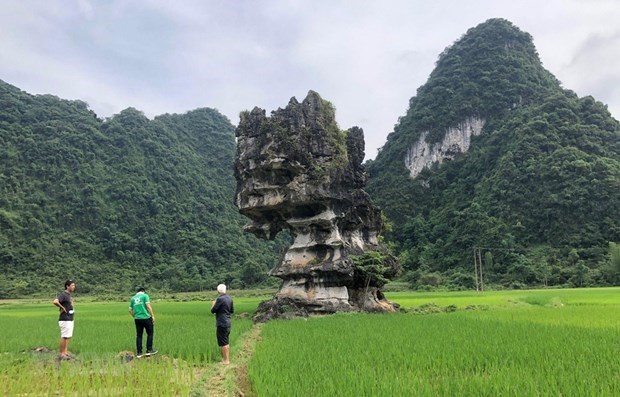 Эксперты ЮНЕСКО оценили статус глобального геопарка Каобанг hinh anh 1