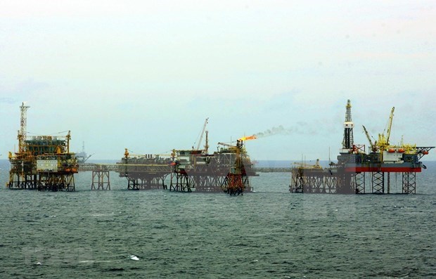 Добыча нефти и газа PVEP превышает шестимесячныи целевои показатель hinh anh 1