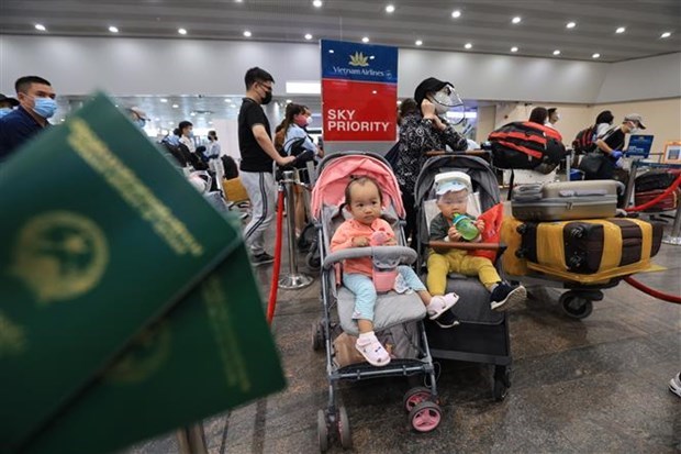 Почти 300 вьетнамских граждан доставили на родину из России hinh anh 1