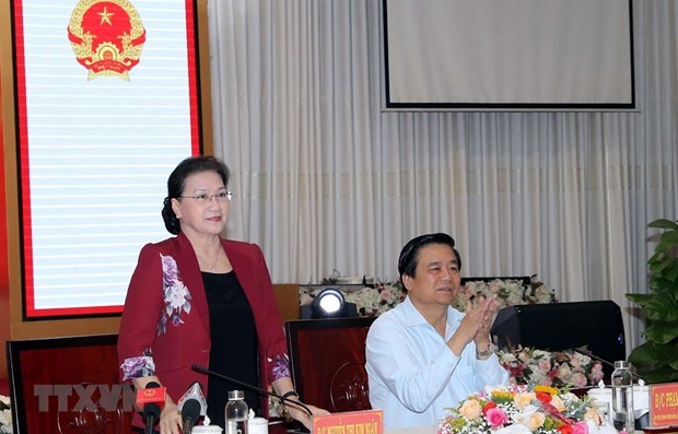 Председатель НС просит Лонган содеиствовать развитию региональных связеи hinh anh 1