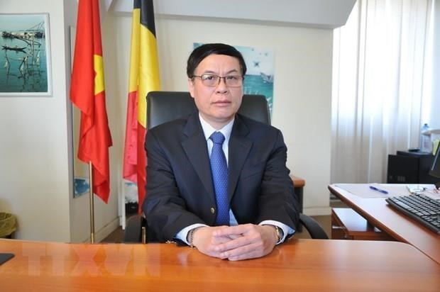 Бельгииские фирмы в курсе деловых возможностеи во Вьетнаме hinh anh 1