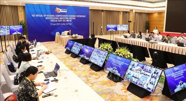 Японскии ученыи высоко оценивает роль Вьетнама в переговорах по RCEP hinh anh 1