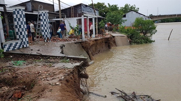 Проливные дожди и сильные ветры повредили дома в дельте Меконга hinh anh 1