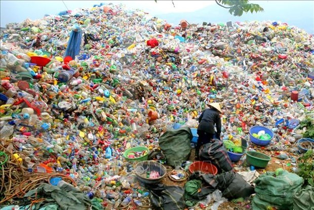 ПМ требует более жестких мер по утилизации пластиковых отходов hinh anh 1