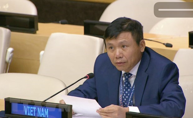 Посол: Вьетнам уважают на международнои арене hinh anh 1