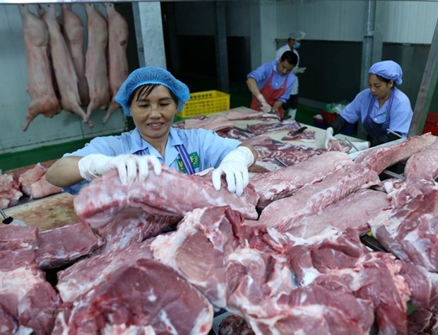 Импорт свинины снижает внутренние цены на свинину hinh anh 1